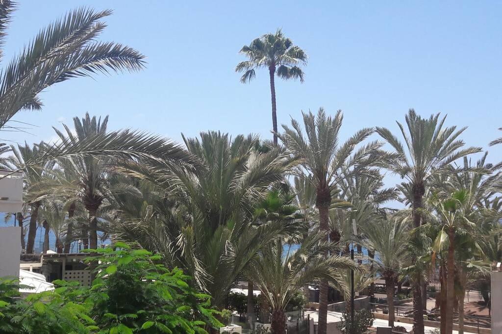 Guayero, Bel Appartement A 50M De La Mer ลอส กริสเตียนอส ภายนอก รูปภาพ